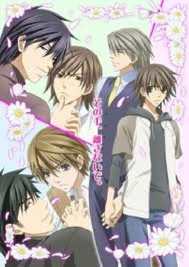 Image de Junjou Romantica